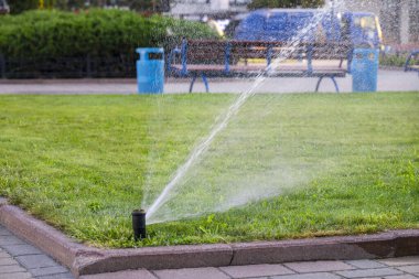 çim yağmurlama sulama yeşil çim