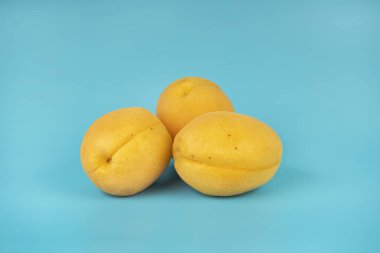 Üç tane olgun kayısı, parlak mavi bir arka planda yan yana yerleştirilmiş..