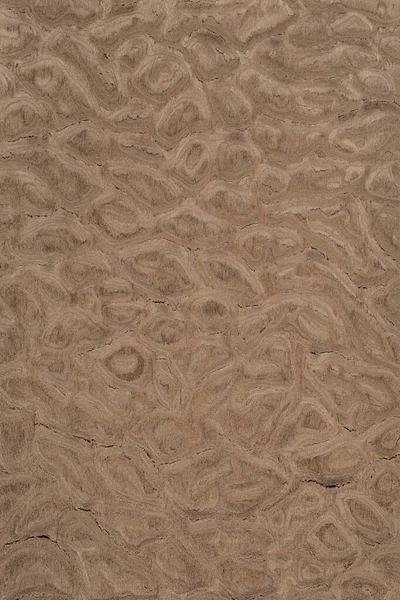 Radica Exotic Wood Panel Texture Pattern — Stock Photo, Image