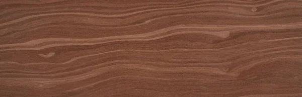 Brown Root Egzotyczne Drewno Panel Tekstury Wzór — Zdjęcie stockowe