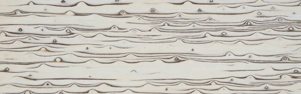 Madera Ártica Panel Exótico Chapa Textura Patrón — Foto de Stock