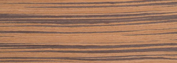 Beige Zebrano Exotic Wood Panel Texture Pattern Banner 免版税图库照片