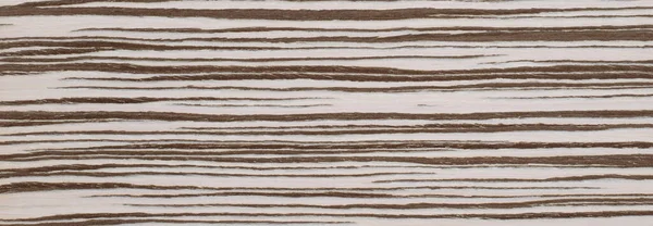 Biały Brązowy Zebrano Egzotyczne Drewno Panel Tekstury Baner Wzór — Zdjęcie stockowe