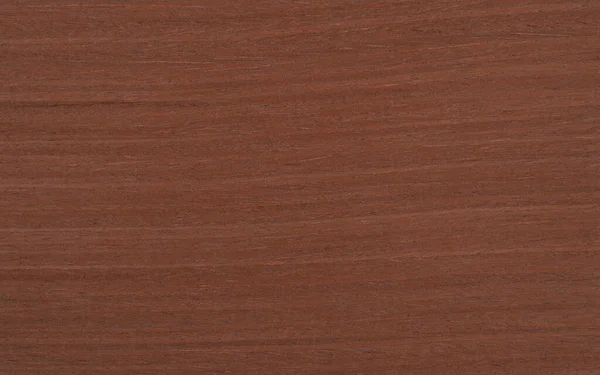 Mahagóni Vörös Egzotikus Panel Textúra Minta — Stock Fotó