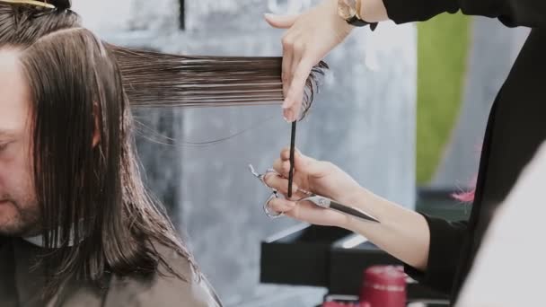 Парикмахерская Стрижет Влажные Волосы Точностью Салоне — стоковое видео