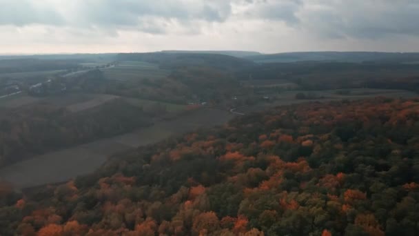 Вид Воздуха Дорогу Извивающуюся Через Лоскутное Полотно Полей Красочные Осенние — стоковое видео