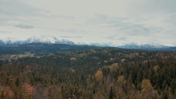 Cielo Coperto Sopra Montagne Innevate Con Primo Piano Foresta Mista — Video Stock