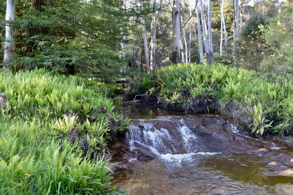 Una Vista Del Agua Que Fluye Sección Superior Las Cascadas — Foto de Stock