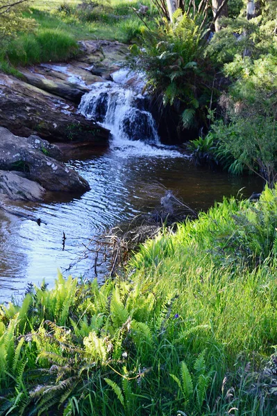 View Water Flowing Upper Section Katoomba Cascades Blue Mountains Australia — Stock Photo, Image