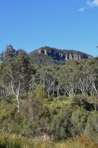 Utsikt Över Landsbygden Nära Kedumba Nsw Australien — Stockfoto