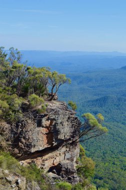 Avustralya 'nın Mavi Dağları' ndaki Wentworth Şelalesi 'nin manzarası.