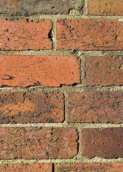 View Bricks Afternoon Sunlight — Stock Photo, Image