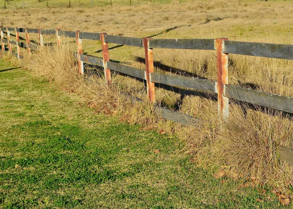 Kerítésoszlopok Közelsége Egy Mezőn Egy Napos Délutánon — Stock Fotó