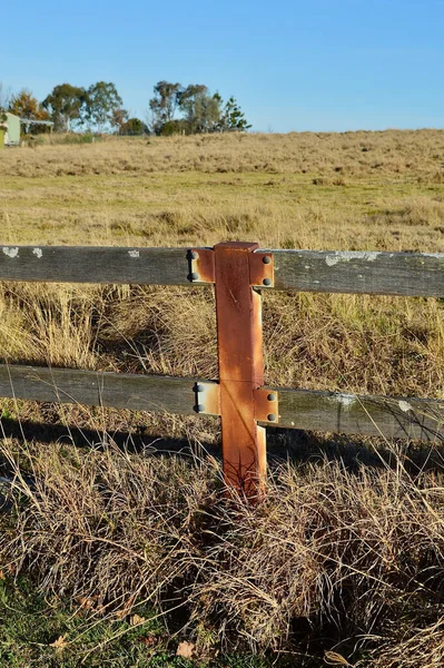 Kerítésoszlopok Közelsége Egy Mezőn Egy Napos Délutánon — Stock Fotó