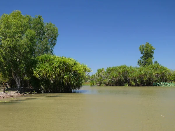 Reserva Água Amarela Território Norte Austrália — Fotografia de Stock