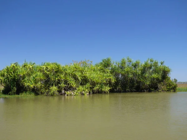 Avustralya Nın Kuzey Bölgesinde Sarı Rezervi — Stok fotoğraf