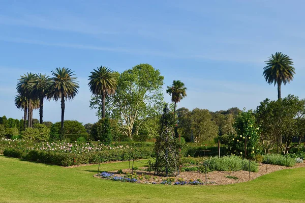 Pohled Centennial Park Sydney Austrálie — Stock fotografie
