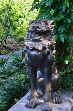 Sydney, Avustralya - Kraliyet Botanik Bahçeleri manzarası