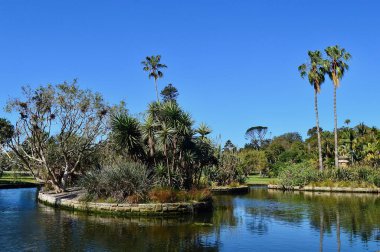 Sydney, Avustralya - Kraliyet Botanik Bahçeleri manzarası