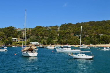 Sidney Limanı 'ndaki Balmoral Plajı' na demirlemiş tekneler