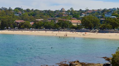 Sidney Limanı, Avustralya 'da Balmoral Plajı manzarası