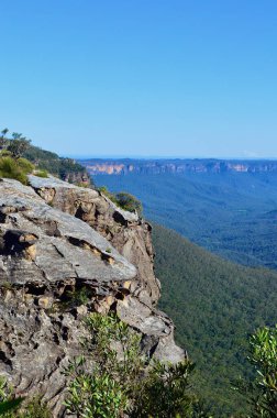 Avustralya 'nın Mavi Dağları' ndaki Leura vadisinde bir manzara.