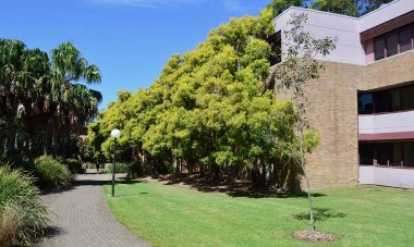 Avustralya 'daki Wollongong Üniversitesi' nde fotoğraflar.
