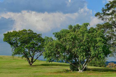 Güneşli bir öğleden sonra banliyöde bir park manzarası.