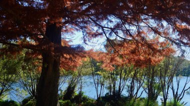 Avustralya 'nın Mavi Dağları' ndaki Wentworth Falls Gölü manzarası