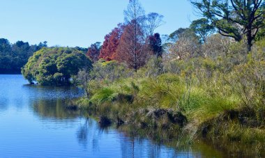 Avustralya 'nın Mavi Dağları' ndaki Wentworth Falls Gölü manzarası