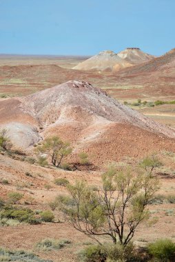 Kanku Kaçakları Koruma Parkı ufukta güzel manzaralar sunuyor..