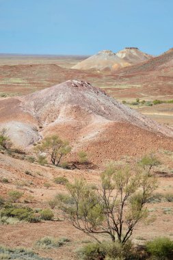 Kanku Kaçakları Koruma Parkı ufukta güzel manzaralar sunuyor..