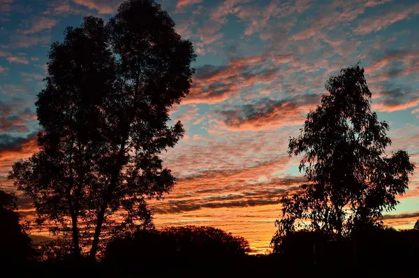 Stock image Sunset at Curtin Springs in the Northern Territory of Australia.