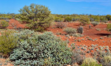 Orta Avustralya 'nın renkleri Kuzey Toprakları' ndaki Yulara yakınlarında sergilenmektedir.
