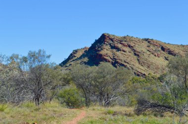 Avustralya 'nın kuzeyindeki Simpsonlar Geçidi' nin yakınındaki kırsal bir manzara..