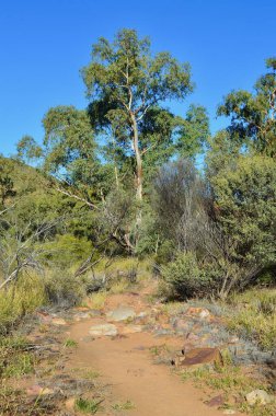 Avustralya 'nın kuzey bölgesindeki Ormiston Geçidi' nin oradaki yürüyüş yolu.