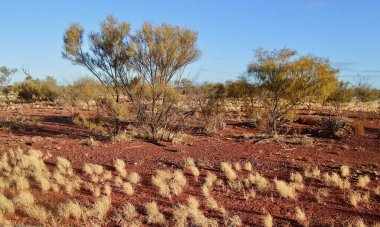 Orta Avustralya 'daki Cadney Park' taki boyalı çöl manzarası.