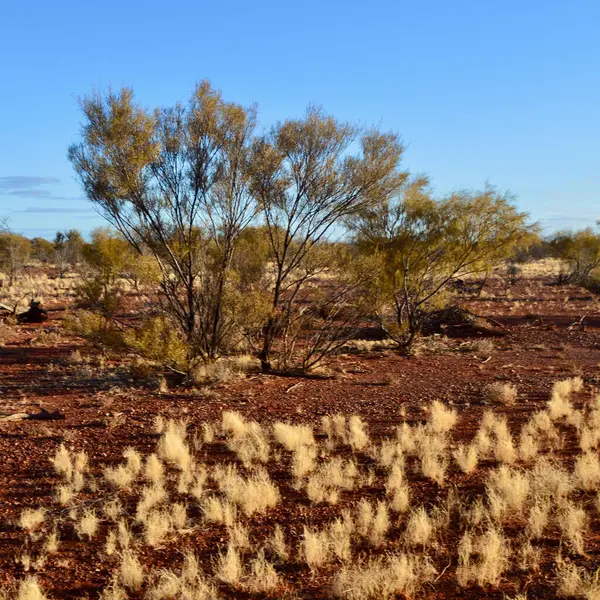 stock image A view of the painted desert at Cadney Park in central Australia