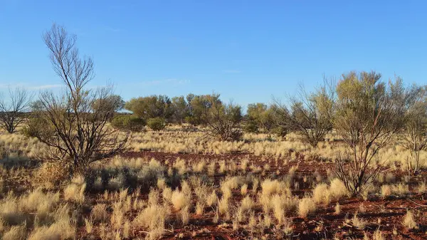 stock image A view of the painted desert at Cadney Park in central Australia