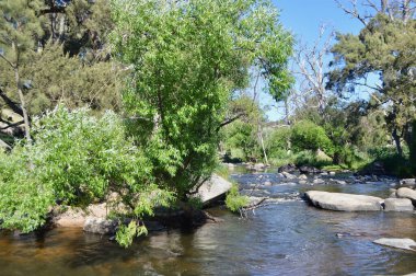 Güneşli bir öğleden sonra kırsalda bir dere akar.. 