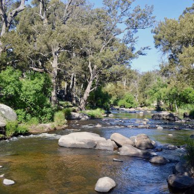 Güneşli bir öğleden sonra kırsalda bir dere akar.. 