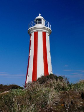 Tazmanya 'daki Devonport' taki Mersey Bluff deniz fenerinin manzarası.