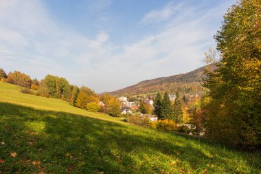 Dağın tepesinde köknar ağaçlarıyla güzel bir gün doğumu. Yeni bir gün başlıyor. Altın saatinde güneş ışınları. Doğa, tatil ve sağlıklı yaşam tarzı kavramı. Metin için boş alanı olan manzara görünümü.