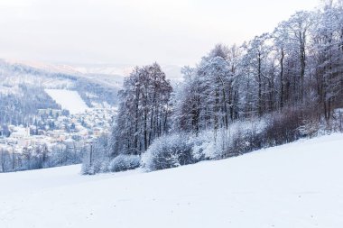 Kış sabahları buzlu kayın ağaçları arasında orman iz.