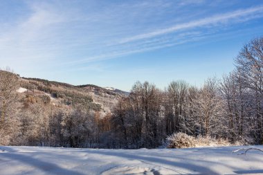 Karlı kış ormanı, Noel arkaplanı