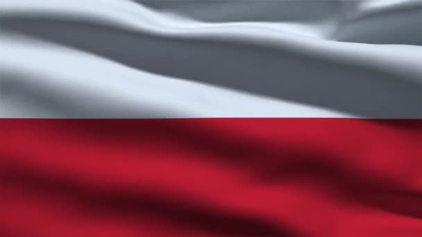 폴란드 플래그 폴란드의 깃발의 웨이브 패브릭 텍스처 텍스처 웨이브 폴란드의 — 비디오