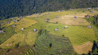 Pa Pong Piang Pirinç Terasları 'ndaki hava manzarası. Dağ manzaralı, Mae Chaem, Chiang Mai, Tayland' ın kuzeyi, tarım ve ormansızlaşma kavramı.