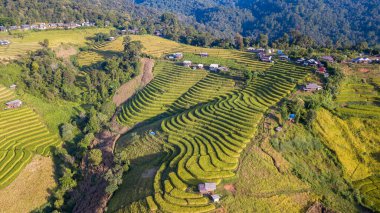 Pa Pong Piang Pirinç Terasları 'ndaki hava manzarası. Dağ manzaralı, Mae Chaem, Chiang Mai, Tayland' ın kuzeyi, tarım ve ormansızlaşma kavramı.