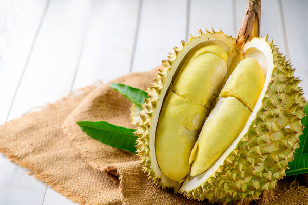 Durian fruit. Ripe monthong durian on sack and white wood background, king of fruit from Thailand on summer season