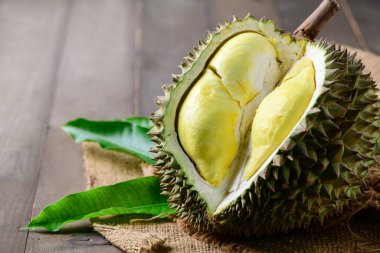 Lav Durian Sisaket, kadim bir volkanik alanda yetişir, Phanom Dong Rak dağ sırası, toprağın bazalt tarafından çürüdüğü yer. Meyvelerin kralı